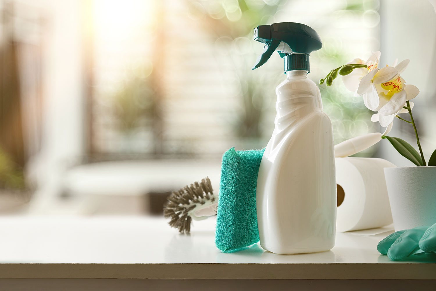 Household & Cleaning Products